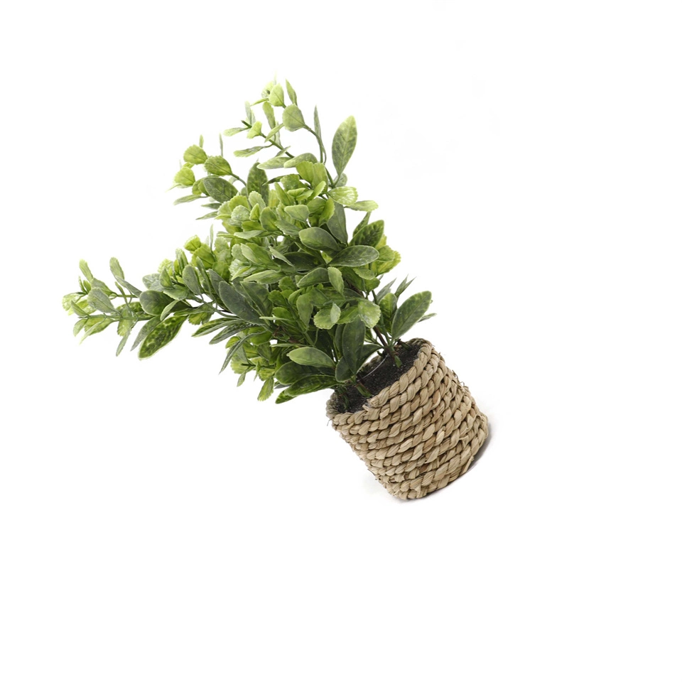 Hot Selling Artificial Green Plant Bonsai Good-Looking Outdoor Decoration Green Plant Simulation Bonsai Grass Braid Rope Medium Bonsai