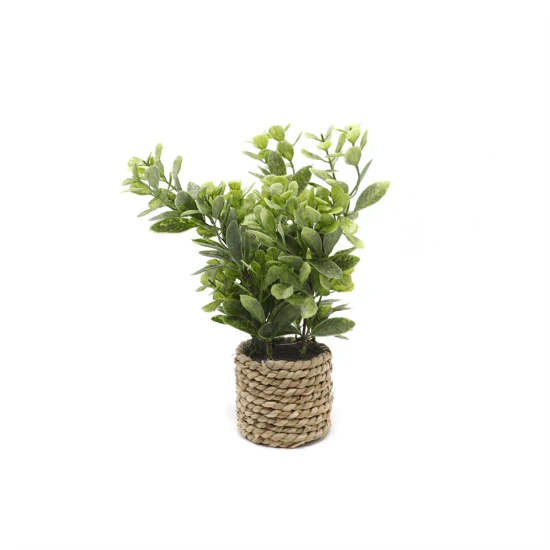 Hot Selling Artificial Green Plant Bonsai Good