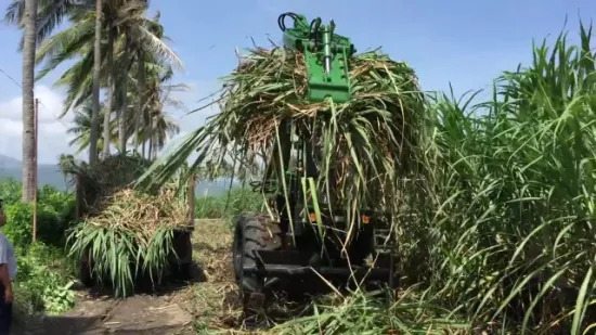 Hongyuan Brand Sugarcane Loader Farming Grab Loading Equipment